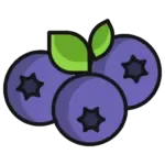 blueberry