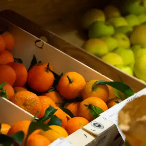 Fruits