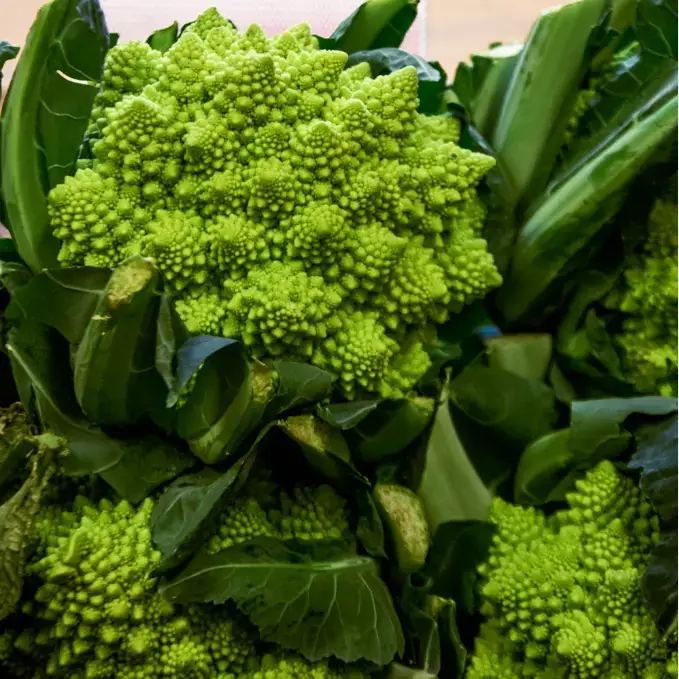 romanesco